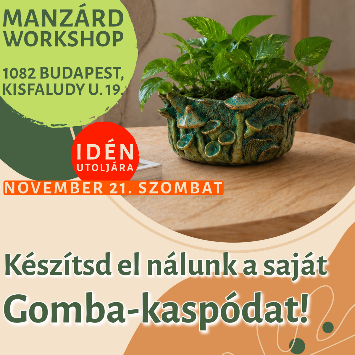 Készítsd el nálunk a saját gomba-kaspódat!