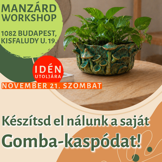 Készítsd el nálunk a saját gomba-kaspódat!