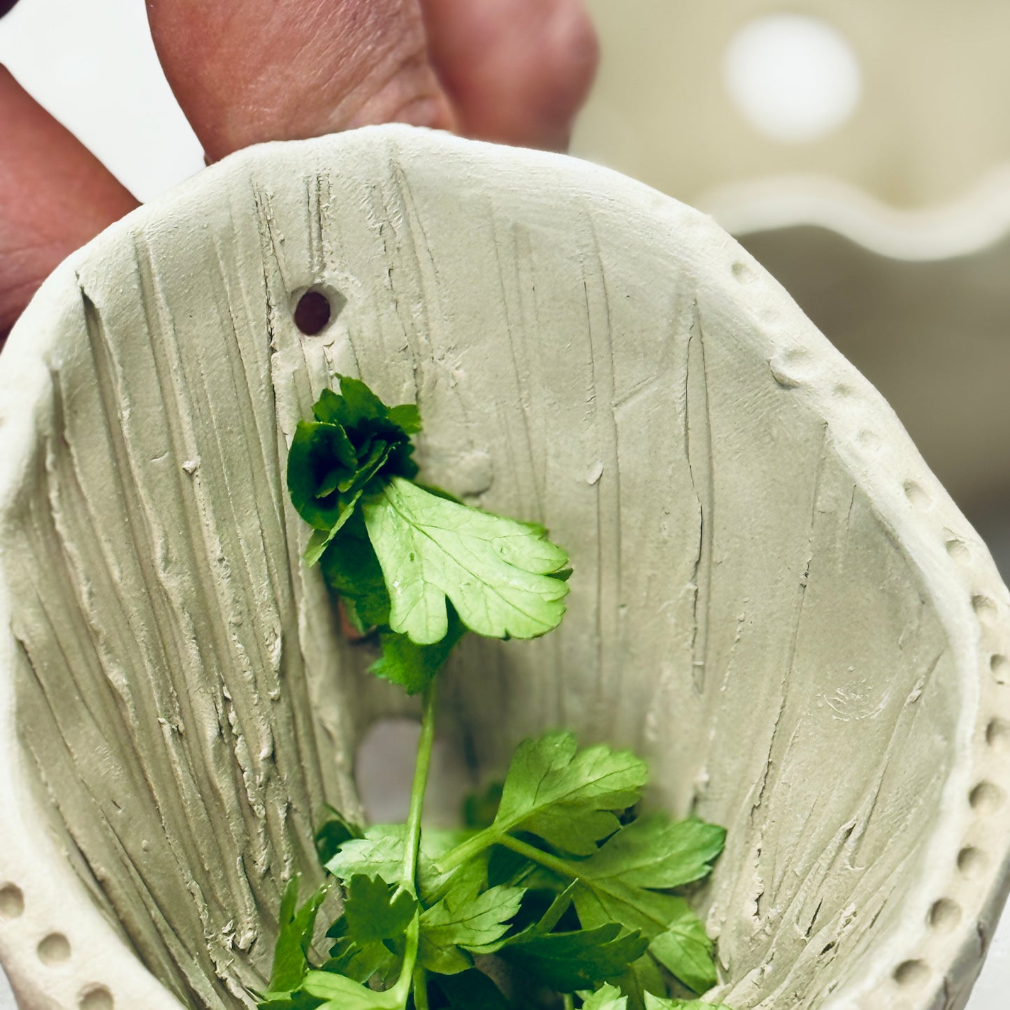 Próbáld ki nálunk a fűszernövény-aprító készítést!